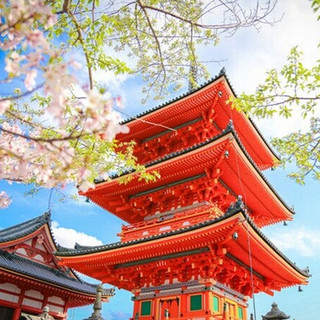 关西经典线路，樱花季可用还不加价！日本京都奈良神户宇治神户一日小团游（纯玩无购物）