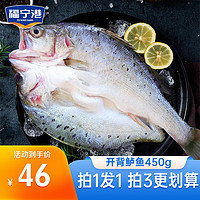 福宁港 三去海鲈鱼 （去鳞去鳃去内脏）袋装生鲜 鱼类海鲜水产 活鱼鲜制 三去鲈鱼450~500g/条