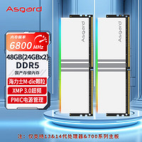 Asgard 阿斯加特 48GB(24GBx2)套装 DDR5 6800 台式机内存条 RGB灯条-女武神·瓦尔基里