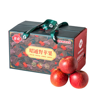 佳农云南昭通丑苹果脆甜新鲜水果新果礼盒装 果径75-80cm 净重4.5斤