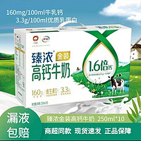 yili 伊利 臻浓金装高钙牛奶250*10盒 营养优质奶