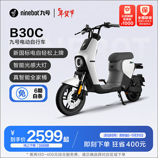 Ninebot 九号 B30C 电动自行车 TDT005Z 48V12Ah铅酸电池 初雪白灰