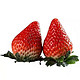 Kaooseen 靠森 大凉山牛奶草莓现摘草莓超甜大果新鲜孕妇应季水果 大果3斤（单果18g+）