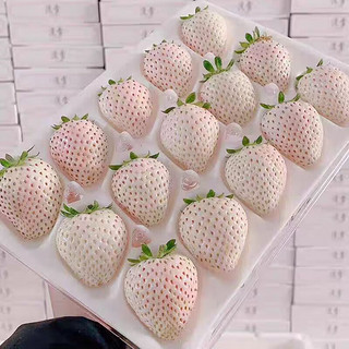莫小仙 【白雪公主】淡雪草莓 500克/2盒+顺丰空运