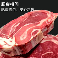 鲜佰鸿 3斤牛腩进口生鲜牛肉牛腩肉巴西牛腱肉