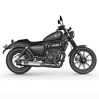 赛科龙 RA250美式复古巡航摩托车 特种哑黑 全 款