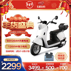 ZUB 五星钻豹 G1 电动摩托车 ZB1200DT