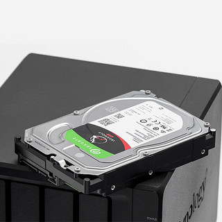 希捷（SEAGATE） NAS硬盘 PMR CMR垂直磁记录 网络存储 SATA 希捷酷狼 数据恢复 8TB【ST8000VN004】