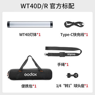 神牛（Godox）WT40D/R水下拍摄潜水补光灯防水灯摄影户外LED常亮灯照明灯 WT40D/R 彩光版