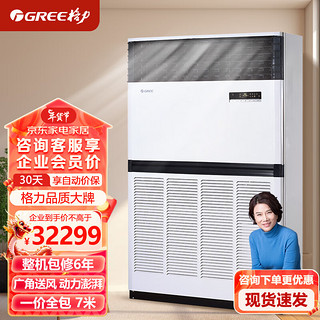 格力（GREE）大冷量空调柜机 10匹变频柜机 380V RF28WPd/BNa（一价全包7米）