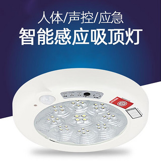 HD智能感应吸顶灯 LED楼道梯走廊雷达光控过道灯具 声光控11W 感应升级款 声光控 12W