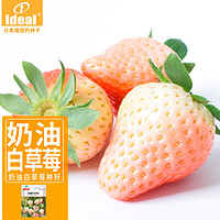 Ideal 理想农业 草莓种子500粒*1袋