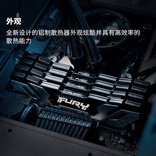 金士顿 (Kingston) FURY 64GB(32G×2)套装 DDR5 6400 台式机内存条 Renegade叛逆者系列 骇客神条