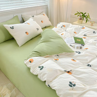 晟日晨辉 冬季保暖双层纱水洗棉床上用品四件套 儿时记忆2.0m床单四件套