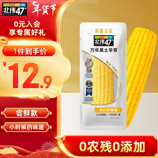 北纬47° 黄糯鲜玉米200g*1穗