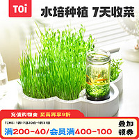 TOI儿童种植玩具植物观察幼儿园小种菜玩具 云朵小菜园