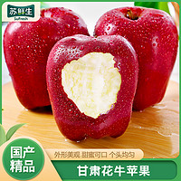 [苏鲜生]甘肃花牛苹果 蛇果 甜美可口 净重4.5斤 中果 70-74mm 新鲜水果