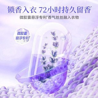 立白洗衣粉大师香氛薰衣草香粉深层去渍持久留香温和不伤手护衣护色 【2.5斤】薰衣草香粉+大师液