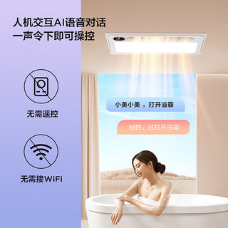 美的（Midea）浴霸风暖卫生间暖风机浴室排气扇照明一体智能语音集成吊顶取暖器 Y3双控*2+24瓦防眩长灯