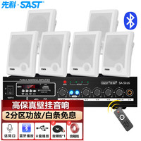 SAST/先科 蓝牙功放 壁挂音响组合
