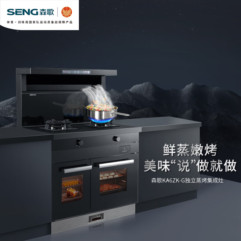  SENG/森歌 独立蒸箱烤箱 独立蒸烤集成灶  天然气