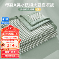 博洋（BEYOND）家纺母婴A类35%大豆纤维被 冬被约2.4-6斤 蓝色 水洗棉夏凉被—绿格 220*240cm