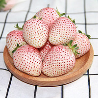 鲜级佳 淡雪白 草莓 1000克（礼盒装）约80粒
