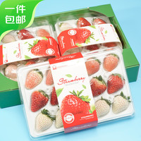 菲农三色草莓750g 单果20g+ 99红颜草莓白草莓水果源头直发