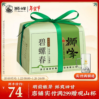 茶叶绿茶 2023春茶新茶明前特级碧螺春250g 纸包装