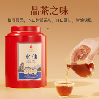 EMPEREUR 华祥苑 水仙茶叶 武夷山岩茶 星时光大红罐250g 优选口粮茶