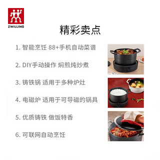 ZWILLING 双立人 珐琅锅铸铁锅火锅煲汤炖肉锅海鲜锅电磁炉可用Dragon系列焖烧炖锅 智能电磁炉-黑色