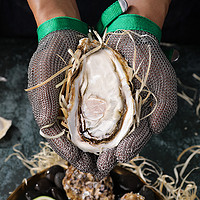 88VIP：BEISILING 贝司令 鲜活乳山生蚝XL新鲜牡蛎净重4斤16-22只海鲜水产海蛎子