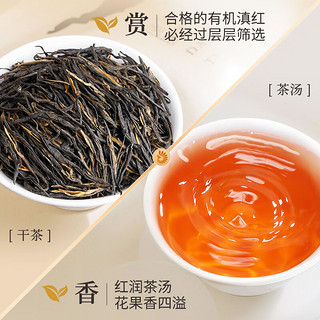 凤牌 红茶 云南凤庆滇红茶 有机铂金经典58 红茶罐装浓香型 100g