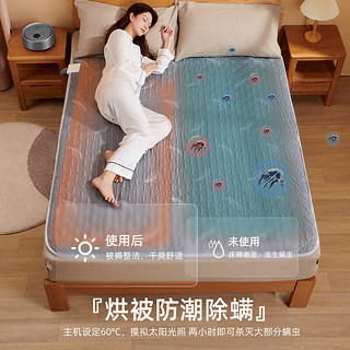 志高（CHIGO）水暖毯电热毯 双人电褥子水暖炕水循环水电褥子水暖床垫除螨烘被 【高档毯】除螨烘被1.8*2米适用