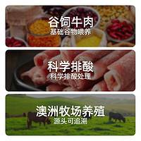 原切肥牛卷 牛肉卷火锅烤肉牛肉组合套餐1KG*2袋