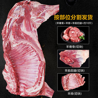 高凉州储良村 羊肉 半只羊(老羊) 净重5斤B 净重5斤B(羊腿3羊排1脊骨1斤)