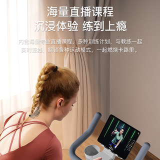 OES 家用动感单车 oes616 精钢飞轮+蓝牙游戏APP