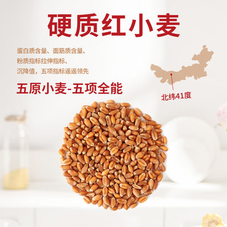  XIN LE TOYS/鑫乐 A级绿色食品 中筋高筋面粉  袋装 5000g