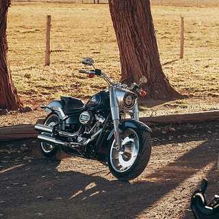 HARLEY-DAVIDSON 哈雷戴维森 电动车