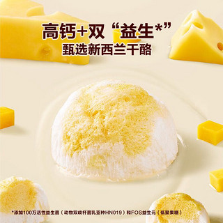 窝小芽 儿童零食冻干奶酪块 每日水果星球营养奶酪球24g/盒不添加白砂糖