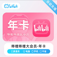 bilibili 哔哩哔哩 大会员年卡