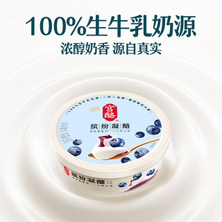 yili 伊利 宫酪缤纷凝酪酸奶 220g*9盒