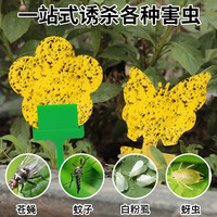 绿林侠 花型粘虫板双面家用花卉粘虫纸黄色果蝇诱虫板诱捕器花园