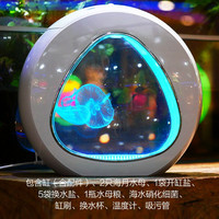 月光水母水母入门套装海水宠物迷你鱼缸赤月海月观赏桌面水母缸第5代 4L水母缸套装(2海月)