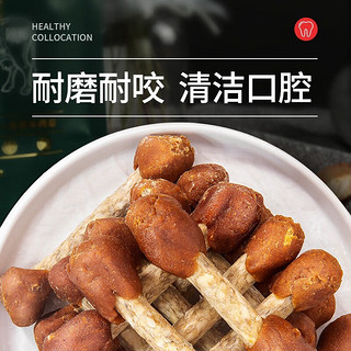 耐威克狗零食礼盒 磨牙洁齿解馋 训练互动 闻鸡起舞礼包600g