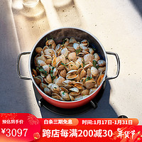 福腾宝德国厨房家用炖燕窝炖盅煲汤锅焖炖锅非珐琅铸铁锅 奈彩米compact