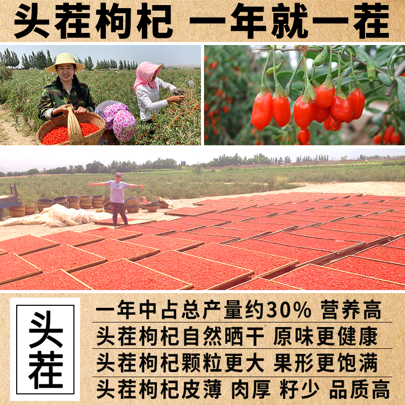 宁夏枸杞特级500g大粒免洗泡天然中宁苟构茶男肾黑