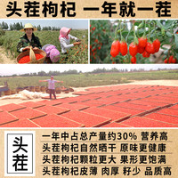 宁夏枸杞特级500g大粒免洗泡天然中宁苟构茶男肾黑