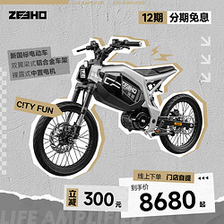 ZEEHO 极核CiTY FUN新国标电动自行车CITY FUN跨骑中置电机电自 太空银