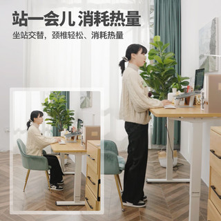 Loctek 乐歌 电动升降桌电脑升降智能桌站立式办公简约家用居家书桌E2S 白腿+ 1.0*0.6